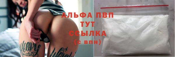 молекула духа Белоозёрский