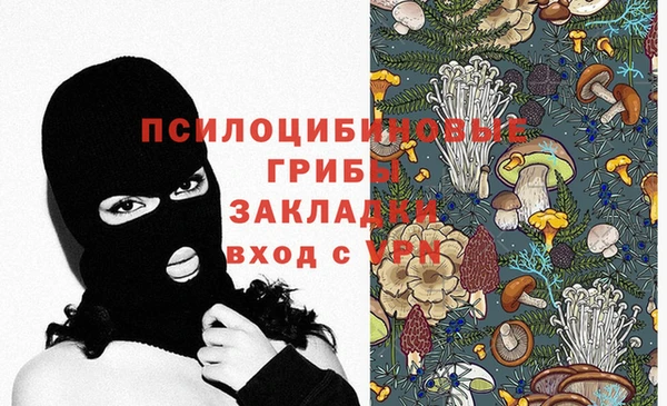 молекула духа Белоозёрский