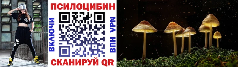 Псилоцибиновые грибы GOLDEN TEACHER  купить  сайты  Санкт-Петербург 